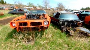 The BEST Junkyard EVER! | TONS of Muscle Cars & Classics! Chevelles, Camaros, Impalas, Etc!
