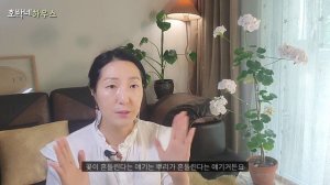 EN) 과습방지 제라늄 관리의 모든것🌱물주기 가지치기 영양제 화분받침 시든꽃 지지대 방법 노하우 | how to geranium pelargonium gardening care