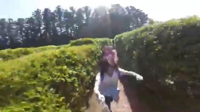 Живой лабиринт в Согвипо смотреть онлайн