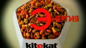 Kitekat. Борис - великий танцор