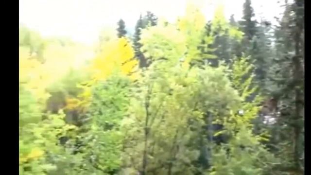 Посмотреть видео. Таёжная красота Красноярского края.