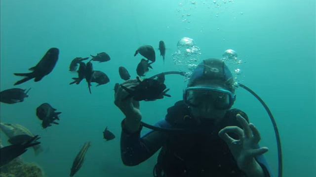 Лоо Роклифф 21.08.2013 смотреть онлайн