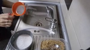 Овес и Лен -завтрак.проращиваем и готовим просто .Самый полезный завтрак из пророщенных злаков