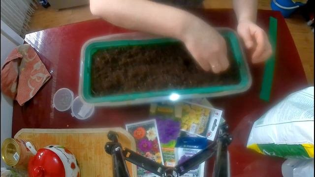 Посев платикодона и петуньи.Ужасная упаковка семян от Золотой Сотки Алтая.#посевсемян,#семена,#влог