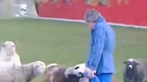 Умар Джабраилов