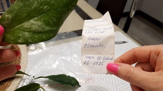 /Распаковка двух замечательных посылок с цветочками/Всё супер/??