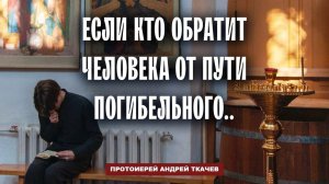 Тот покроет множество грехов. Отец Андрей Ткачев