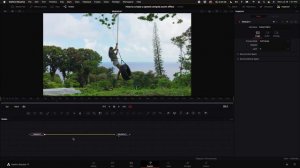 Speed Ramped Smooth Zoom Effect in Davinci Resolve