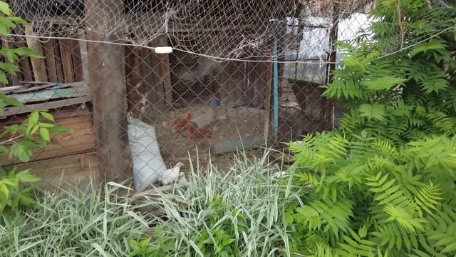 "Морской" городок на востоке Казахстана. Не верю своим глазам смотреть онлайн