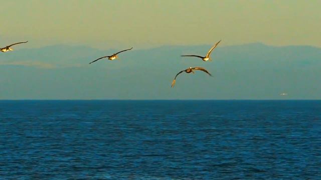 Best meditation music to sleep | Calm Music For Stress | Zentality | смотреть онлайн