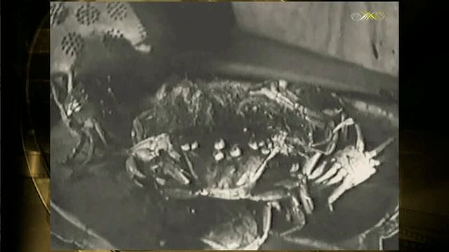 Юные мы моряки смотреть онлайн