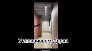 //Реакция AvA и AvM на видео\\ (Моя ау!) 🌿