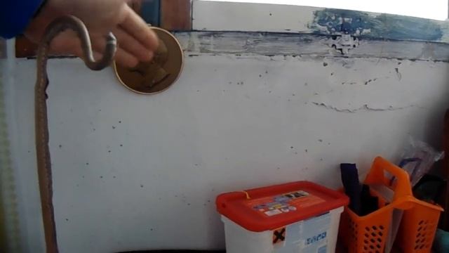 Офис - мастерская на балконе. Это круто=) смотреть онлайн