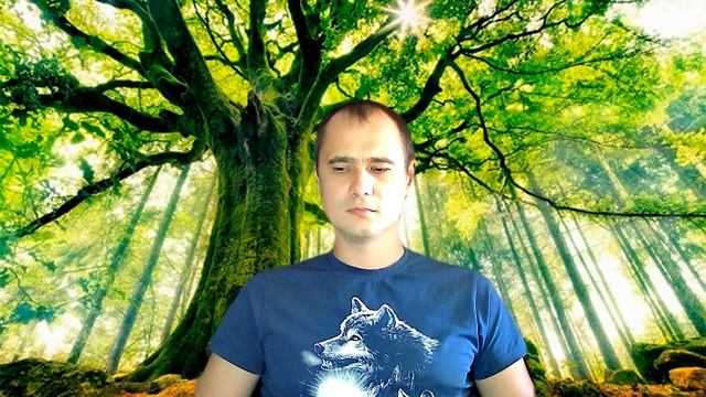 Медитация "Гармонизация Родовой системы" смотреть онлайн