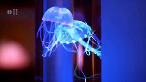 Лампа Аквариум с плавающими медузами Обзор. Сравнение. Купить. Отзывы.