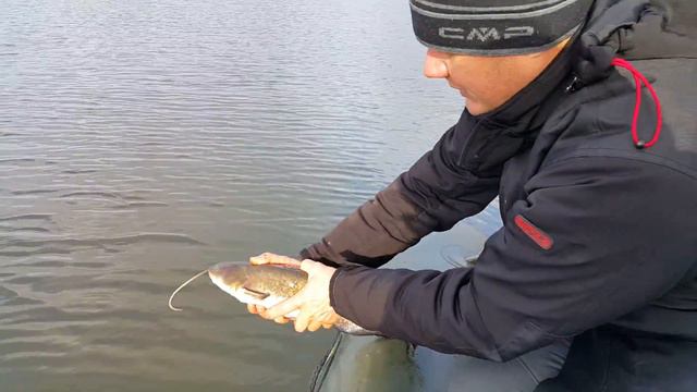 Учите правила рыбалки :) смотреть онлайн