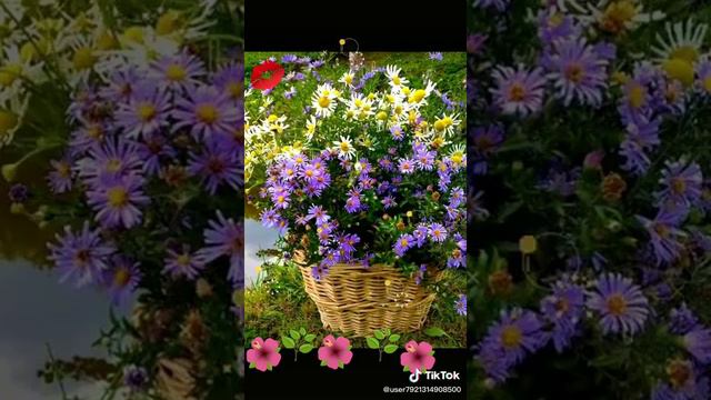 Пожелание доброго утра(5) смотреть онлайн