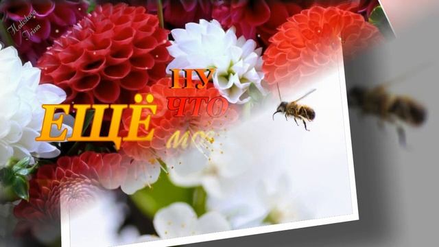 С ДНЁМ РОЖДЕНИЯ! ???Пусть исполнятся мечты в День Рождения ??Поздравления от души ???