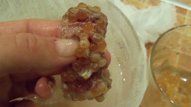 Засолка икры семги