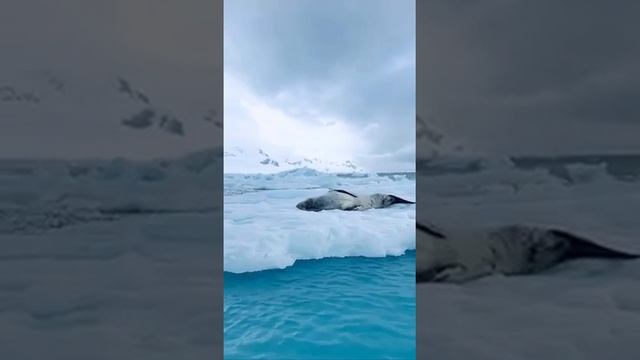 45_секунд.MP4