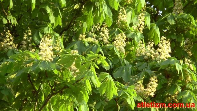 Алиса, Ксюша и Назар рисуют мелками. Доброе видео для детей смотреть онлайн