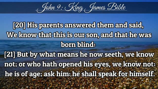 THE GOSPEL OF JOHN CH. 9:1-41 - BIBLE VIDEO (I AM THE LIGHT OF THE WORLD) | JOHN BIBLE смотреть онлайн