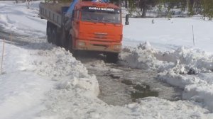 Зимник,нырок.
