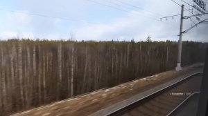 765➡️Санкт-Петербург - Москва. Поездка на высокоскоростном поезде Сапсан. Вид из окна.