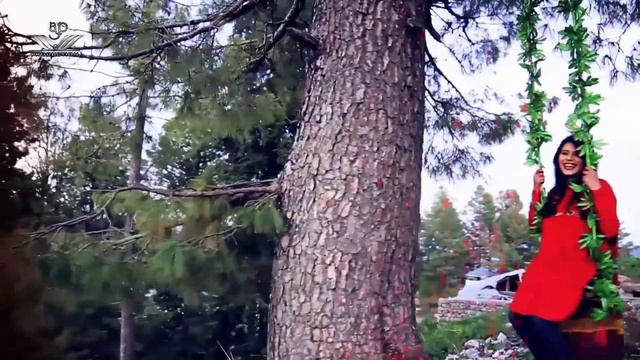 Farsi Song | Zaryali Samadi Farsi смотреть онлайн