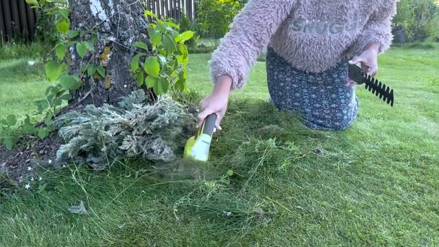 Ножницы аккумуляторные. Кусторез. Чем стричь бордюр? Ножницы садовые. Садовый инвентарь. #лайфхак