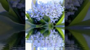 Азербайджанская музыка - безумно красивая. ???? Монтаж Байрам Бабаева.