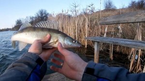Рыбалка на спиннинг судака и карася весной  на грушку. Судак и карась в апреле на джиг. блесна пуля