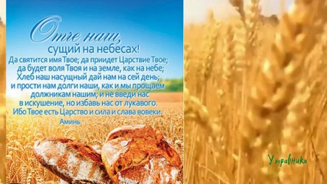 У ТРАВНИКА МОЛИТВА ОТЧЕ НАШ НА ИСЦЕЛЕНИЕ ОТ БОЛЕЗНЕЙ