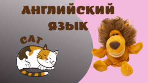 Животные-Кошка/Animals-a cat? #английскийстошей #ангглийскийдлядетей #видеоурокианглийский