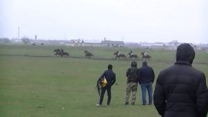 Скачки в Чеченской Республике, с Черленый. 3 заезд. 2400м.