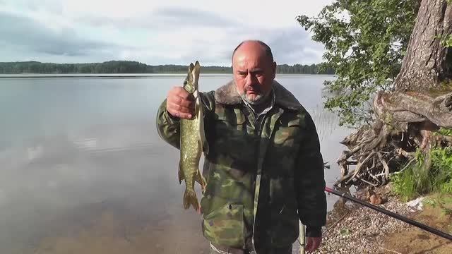 Отдых с рыбалкой на Савозере 2017 г./ часть 2-я.