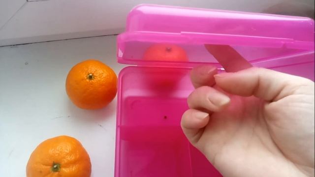 VLOGmas/я в лесу/прически в сад смотреть онлайн