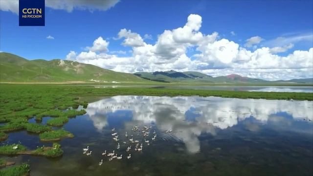 Защита биоразнообразия смотреть онлайн