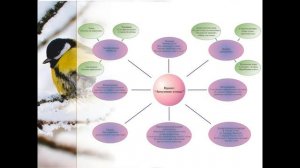 зимующие птицы презентация для дошкольников