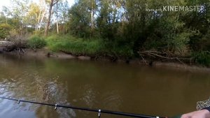 Сплав по р. Шегарка 17.08.2019
