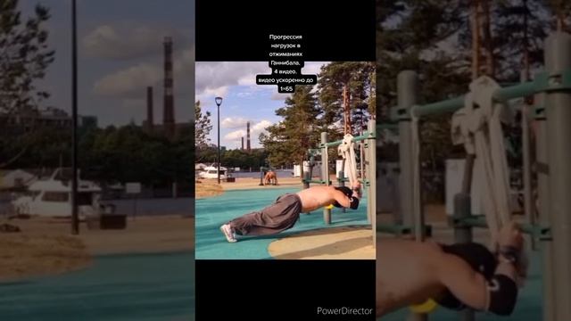 Прогрессия нагрузок в отжиманиях Ганнибала.
4 видео.
видео ускоренно до 1×65