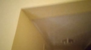 Dive Inn Resort, Шарм-эш-Шейх, Египет 2021.