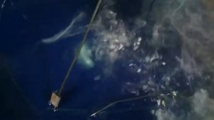 Закалка инструментальной стали.