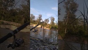 Рыбалка КБР река терек мост маискйй