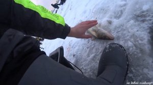 ЛОВЛЯ СУДАКА НА КАНОНЕРСКОМ ОСТРОВЕ  краткий отчет