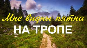 Мне видны пятна на тропе | Семья Коларьковых