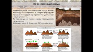 «Почвоведение, как естественнонаучная дисциплина. Почвы Карелии»