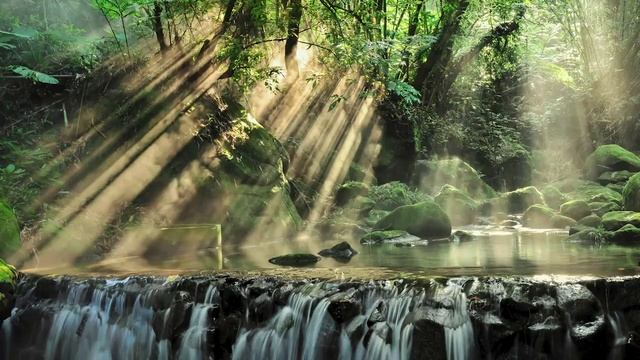 Музыка для Беременных ♫ Классическая Музыка для Здоровья Мамы и Ребёнка в Утробе