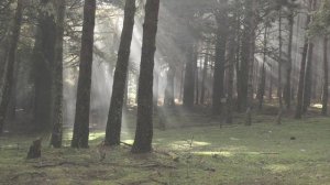 Красивая музыка  Спа массаж музыка