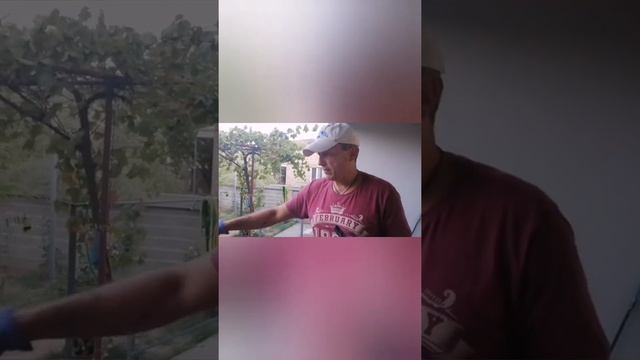 In vino veritas смотреть онлайн